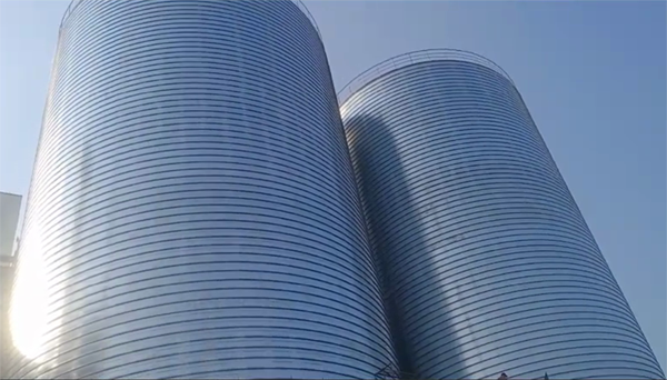 泾川2座混凝土高架卷板仓